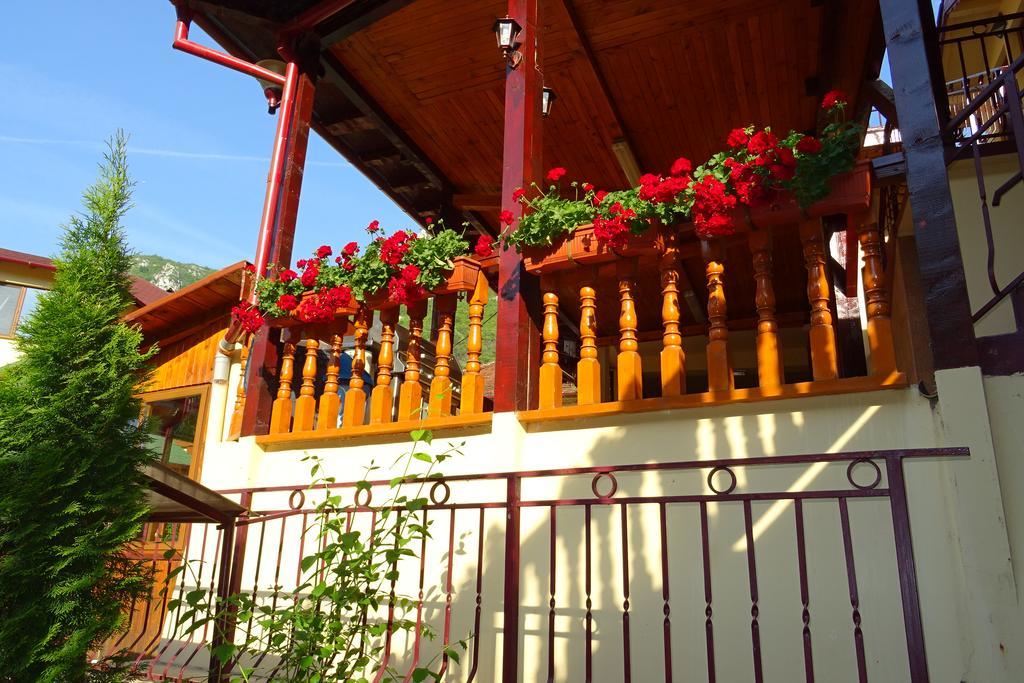 Pension Cuibul Viselor Baile Herculane Exterior photo