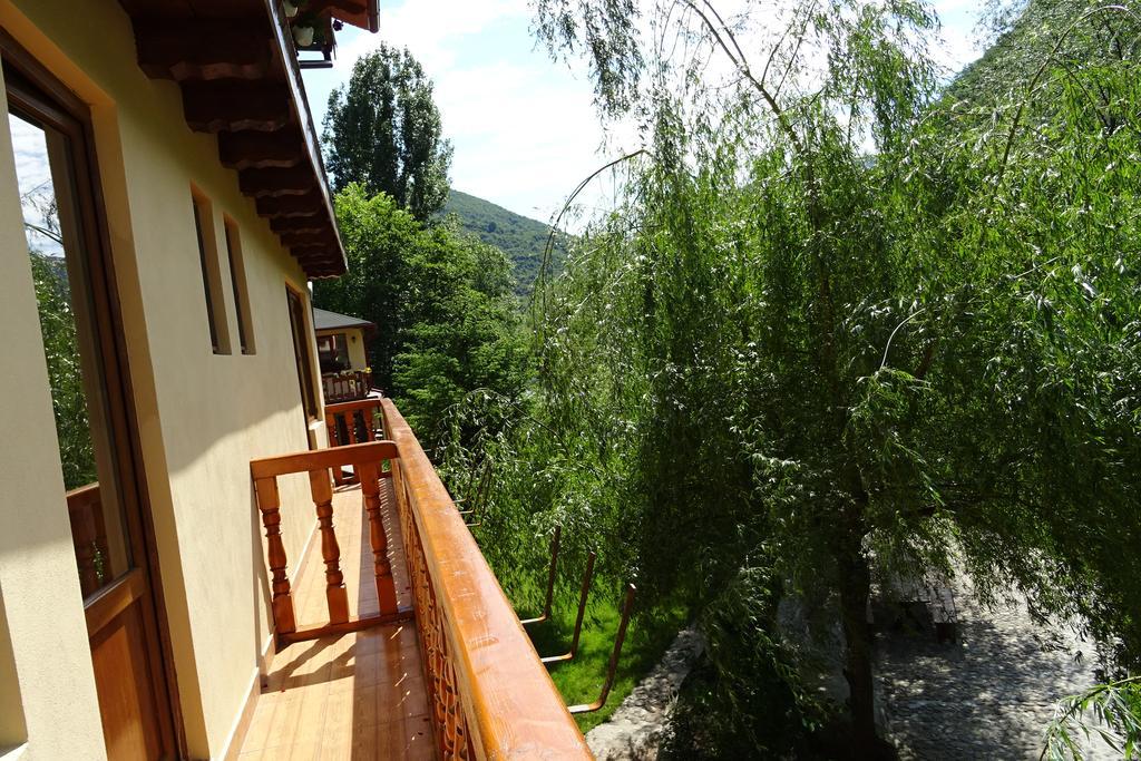 Pension Cuibul Viselor Baile Herculane Exterior photo