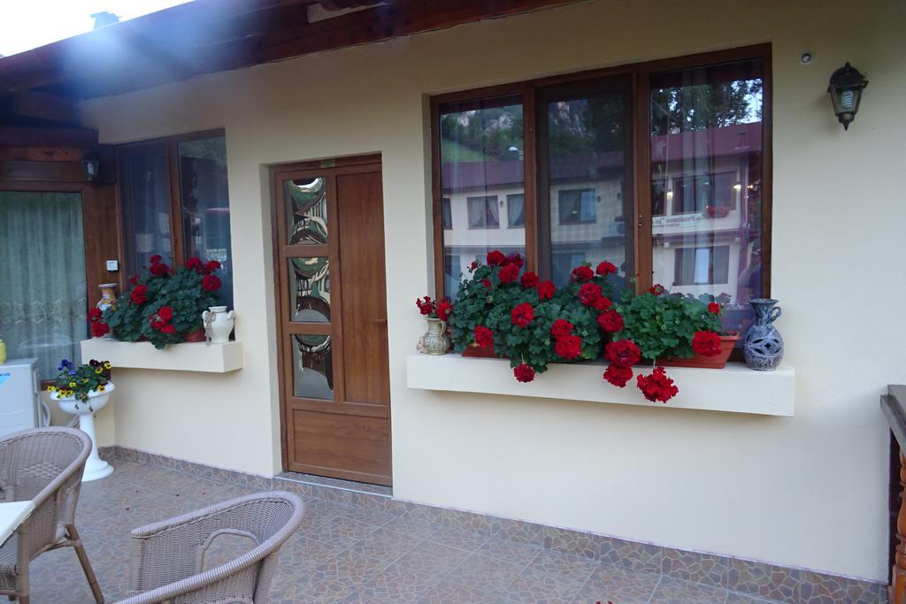 Pension Cuibul Viselor Baile Herculane Exterior photo